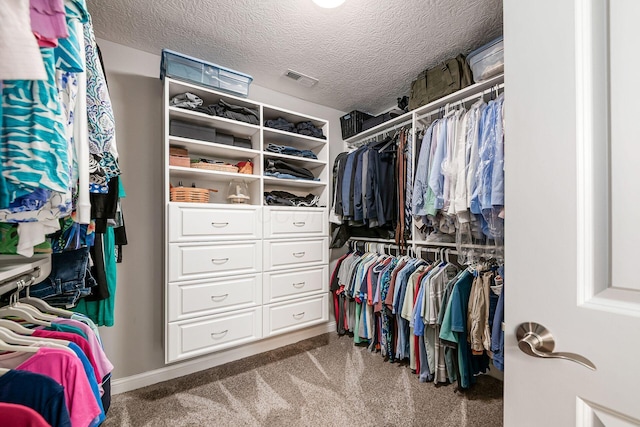5540 Eva Loop S, Dublin, OH 43016 - spacious closet featuring carpet flooring