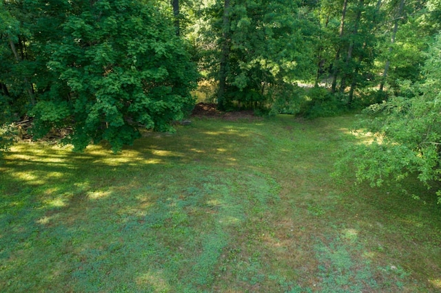 1743 Whetstone River Rd S, Marion, OH 43302 - photo 34