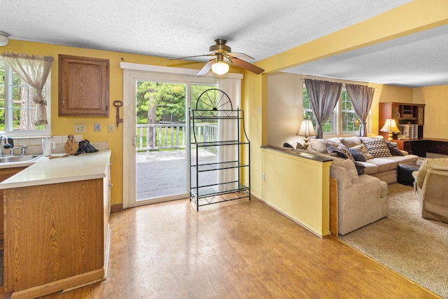 5500 Saddlebrook Dr, Columbus, OH 43221 - living room featuring healthy amount of natural light, a textured ceiling, light wood-style floors, and a ceiling fan