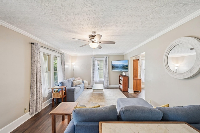 105 Marks Ave, Lancaster, OH 43130 - living room with dark wood-style flooring, a ceiling fan, a textured ceiling, and crown molding