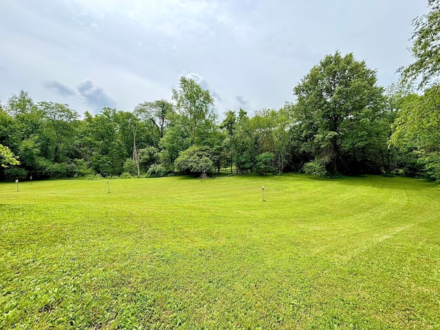 11720 Gorsuch Rd, Galena, OH 43021 - photo 9