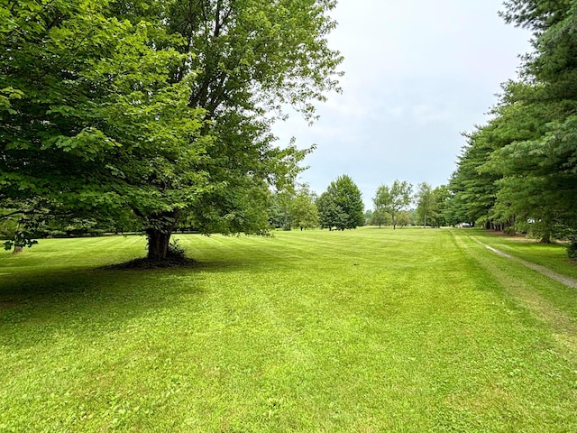 11720 Gorsuch Rd, Galena, OH 43021 - photo 11