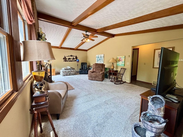 11720 Gorsuch Rd, Galena, OH 43021 - photo 30