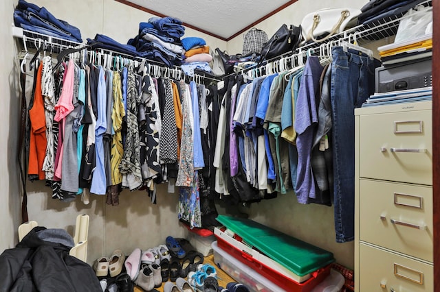 2445 Columbus-Lancaster Rd NW Unit 248Hickory, Lancaster, OH 43130 - view of walk in closet