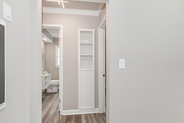 205 N Gould Rd, Columbus, OH 43209 - hallway featuring ornamental molding and wood finished floors