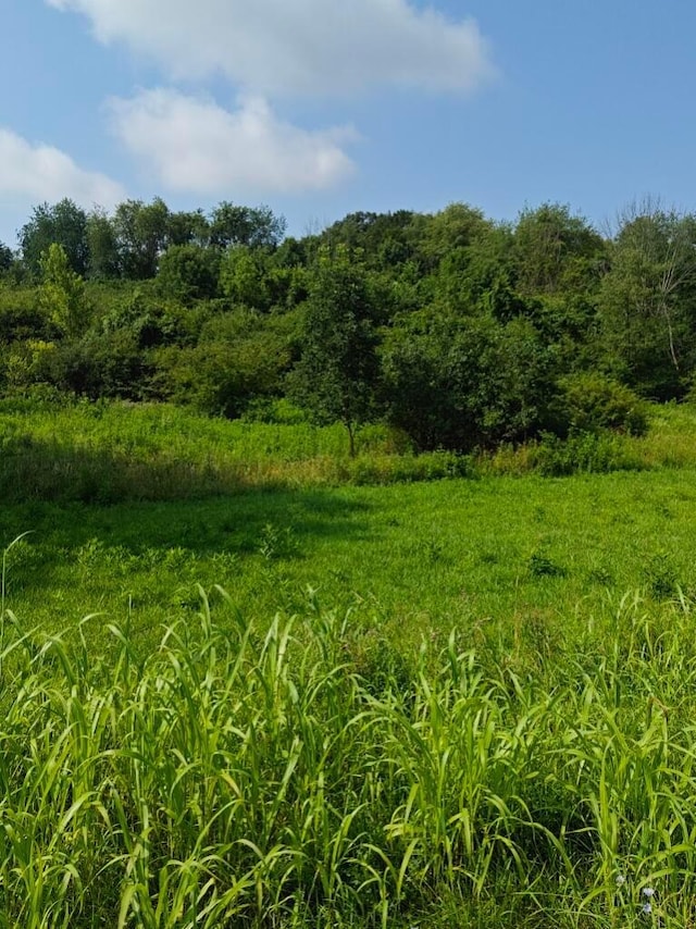 10646 Watson Rd SE, Heath, OH 43056 - view of nature