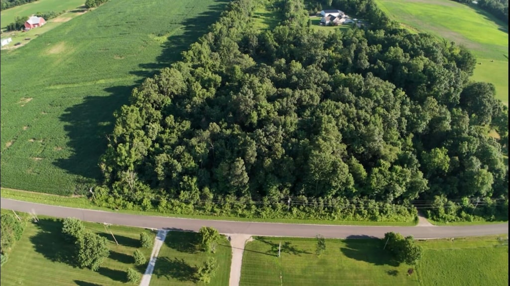 0 County Road 25, Cardington, OH 43315 - photo 3