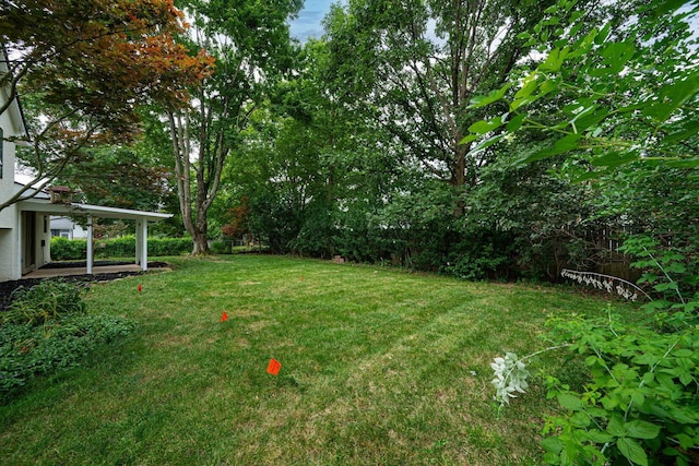 260 Old Coach Pl, Canal Winchester, OH 43110 - view of grassy yard