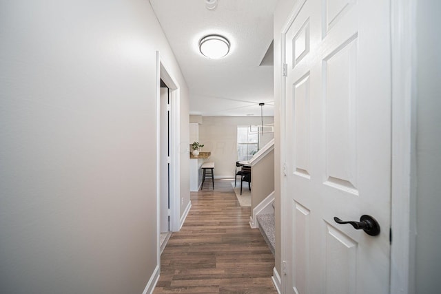29 Victorian Gate Way, Columbus, OH 43215 - corridor with dark wood finished floors and baseboards