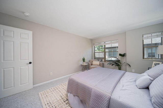 29 Victorian Gate Way, Columbus, OH 43215 - carpeted bedroom featuring baseboards