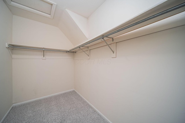 29 Victorian Gate Way, Columbus, OH 43215 - spacious closet with carpet floors and attic access