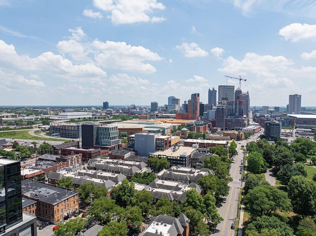 29 Victorian Gate Way, Columbus, OH 43215 - view of city