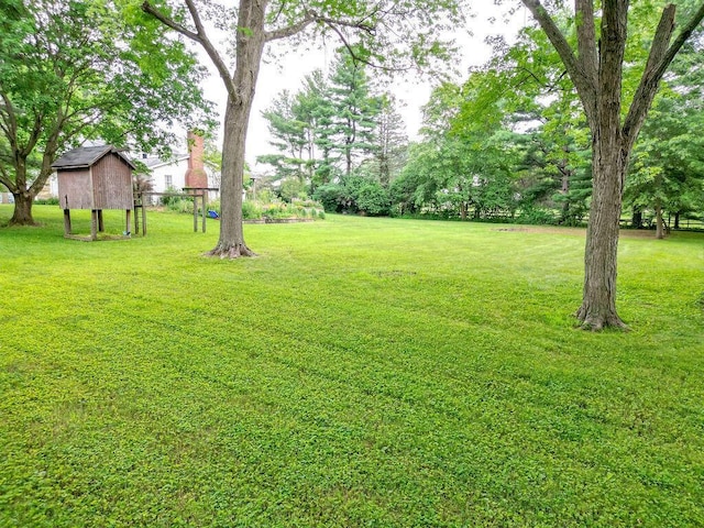 7860 Peter Hoover Rd, New Albany, OH 43054 - view of green lawn