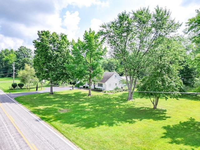 7860 Peter Hoover Rd, New Albany, OH 43054 - view of grassy yard with view of scattered trees