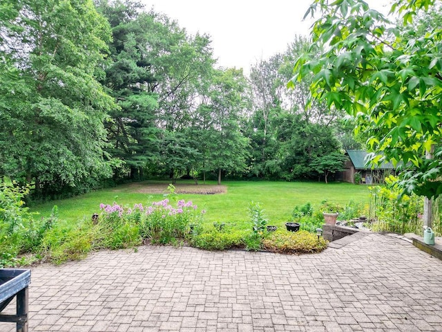 7860 Peter Hoover Rd, New Albany, OH 43054 - view of grassy yard featuring a patio
