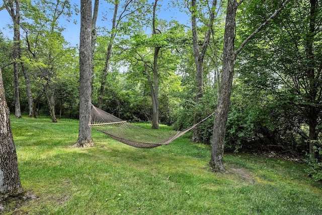 1636 Windway Ct, Blacklick, OH 43004 - photo 65
