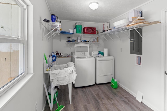 303 Rocky Fork Dr N, Columbus, OH 43230 - laundry room with washing machine and dryer, electric panel, a textured ceiling, and wood finished floors