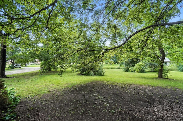 5050 Bixby Rd, Groveport, OH 43125 - view of green lawn