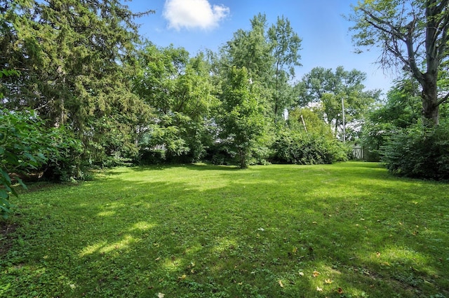 5050 Bixby Rd, Groveport, OH 43125 - view of grassy yard