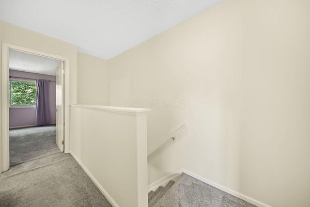 3254 Brookview Way Unit 15, Columbus, OH 43221 - corridor featuring an upstairs landing, carpet floors, and a textured ceiling