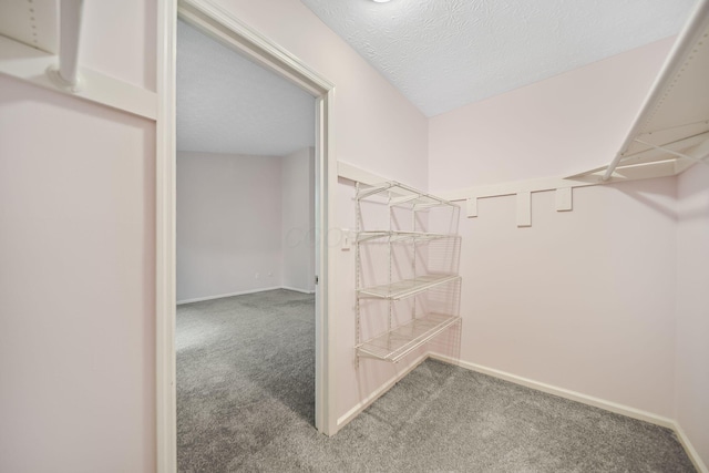 3254 Brookview Way Unit 15, Columbus, OH 43221 - spacious closet with carpet floors
