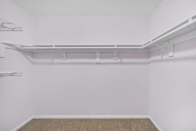 3254 Brookview Way Unit 15, Columbus, OH 43221 - spacious closet with carpet floors