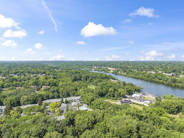 3254 Brookview Way Unit 15, Columbus, OH 43221 - aerial view of a forest and a nearby body of water
