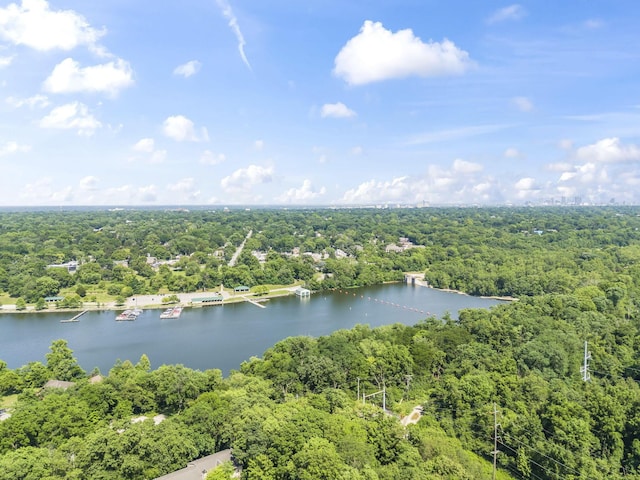 3254 Brookview Way Unit 15, Columbus, OH 43221 - bird's eye view of a forest and a large body of water
