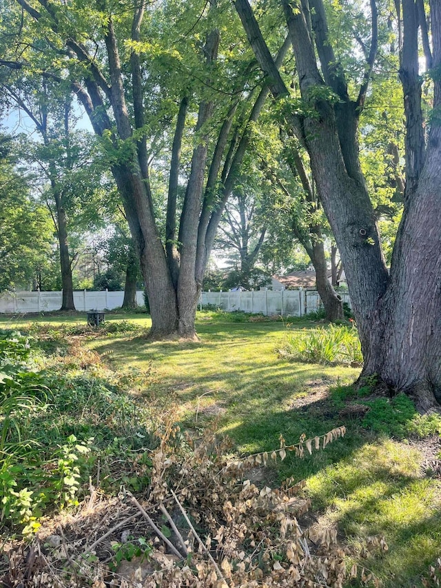 190 Inah Ave, Columbus, OH 43228 - view of yard