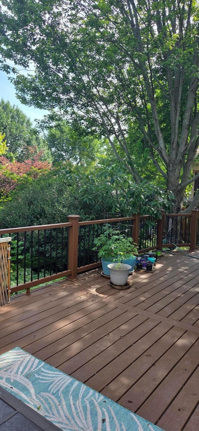 5851 Dena Dr, Hilliard, OH 43026 - photo 20