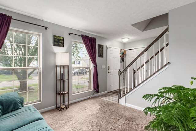 873 Hurlock Ln, Galloway, OH 43119 - photo 6