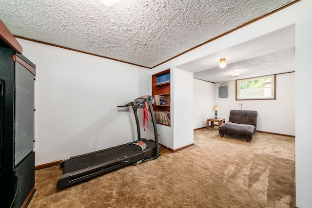 2197 Bayfield Dr, Columbus, OH 43229 - exercise room featuring a textured ceiling, carpet, crown molding, and electric panel