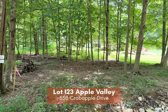 558 Crabapple Dr, Howard, OH 43028 - photo 1