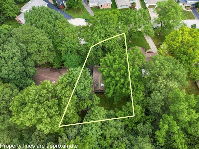 1189 Sunny Hill Dr, Columbus, OH 43221 - photo 31