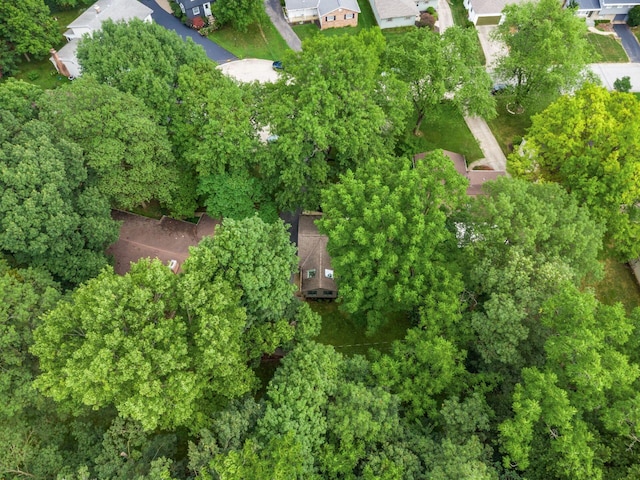 1189 Sunny Hill Dr, Columbus, OH 43221 - photo 30