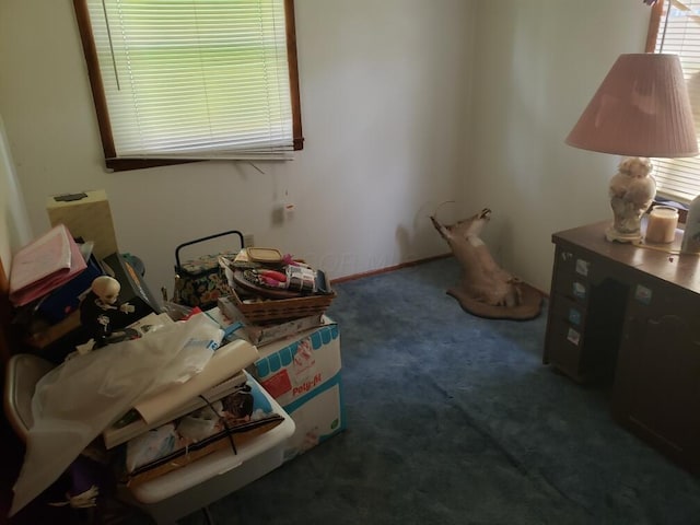 28462 Osborne Rd, Coolville, OH 45723 - bedroom with carpet