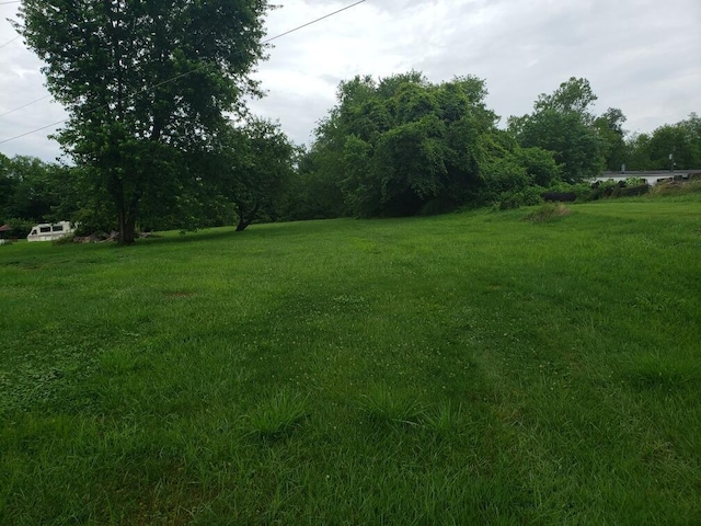 28462 Osborne Rd, Coolville, OH 45723 - view of grassy yard