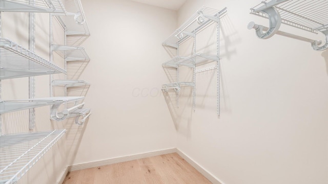 58 Lippert Ln, Buckeye Lake, OH 43008 - walk in closet with light wood-type flooring