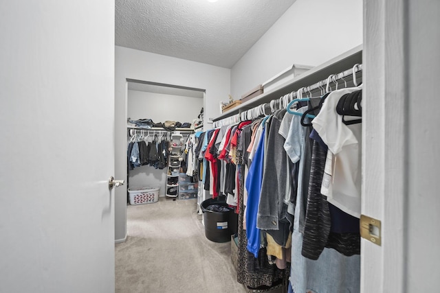1290 Paddington Ct, Columbus, OH 43230 - spacious closet featuring carpet flooring