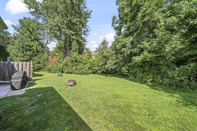 1290 Paddington Ct, Columbus, OH 43230 - view of yard