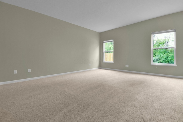 1153 Park Dr Unit 302, Columbus, OH 43230 - photo 5