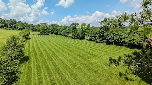 54995 Marietta Rd, Pleasant City, OH 43772 - photo 36