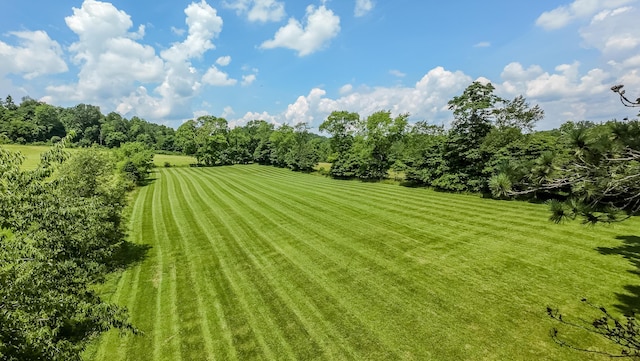 54995 Marietta Rd, Pleasant City, OH 43772 - photo 37
