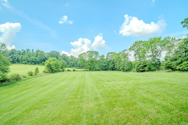 54995 Marietta Rd, Pleasant City, OH 43772 - photo 42