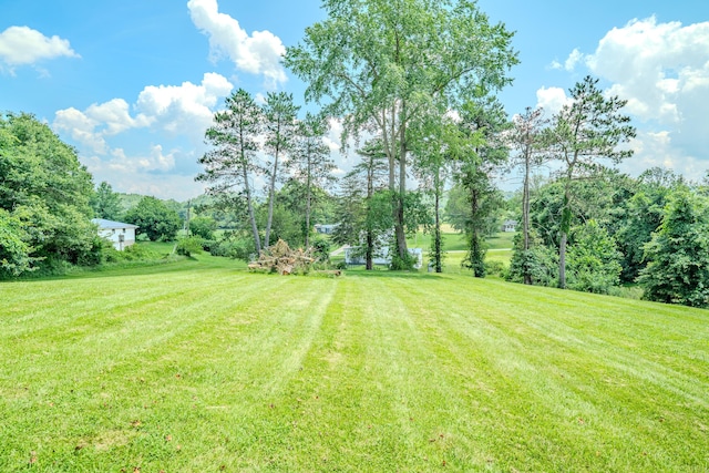 54995 Marietta Rd, Pleasant City, OH 43772 - photo 43