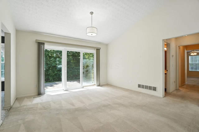 6281 Mcnaughten Place Ln Unit 24, Columbus, OH 43213 - empty room with carpet flooring, a textured ceiling, and lofted ceiling