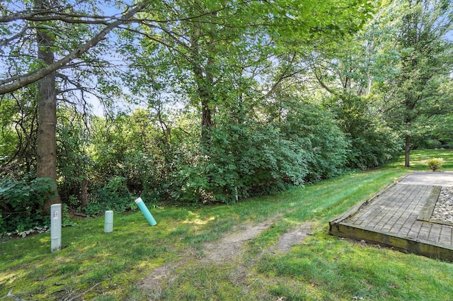 6281 Mcnaughten Place Ln Unit 24, Columbus, OH 43213 - view of grassy yard