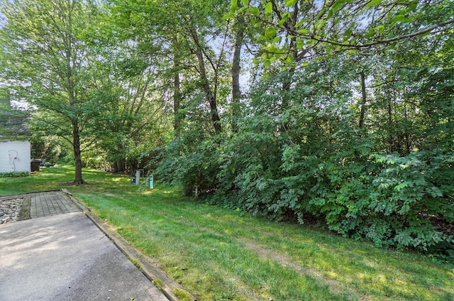6281 Mcnaughten Place Ln Unit 24, Columbus, OH 43213 - view of green lawn