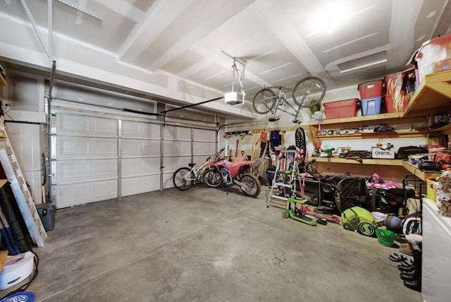 5582 Freedom Run, Orient, OH 43146 - garage featuring a garage door opener