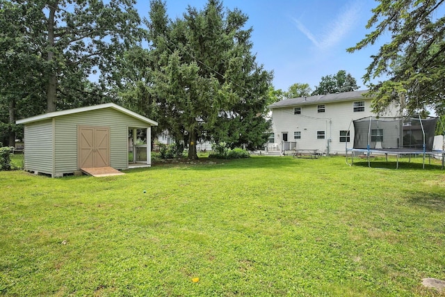 5328 Torchwood Loop E, Columbus, OH 43229 - view of green lawn featuring a trampoline and a storage shed